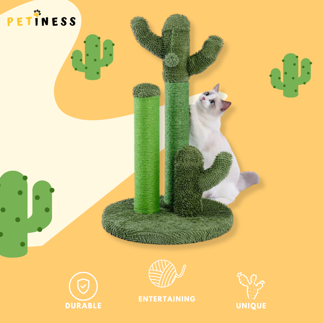 PETINESS™ Cactus Scratch